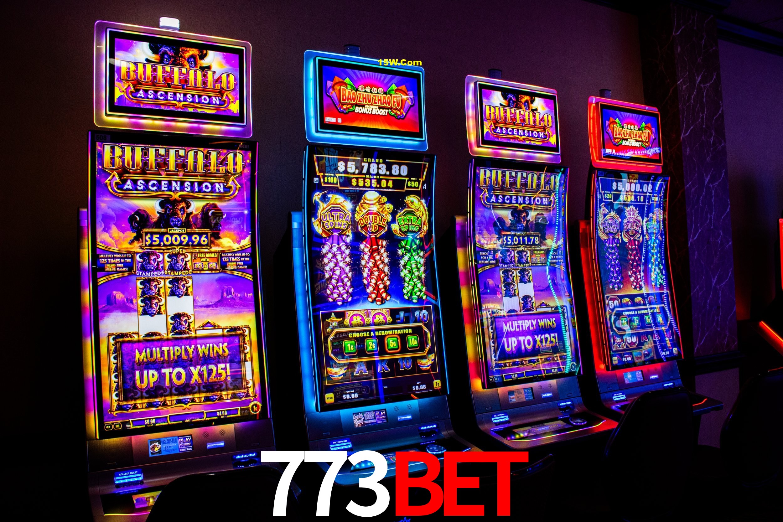 Live Casino 773Bet